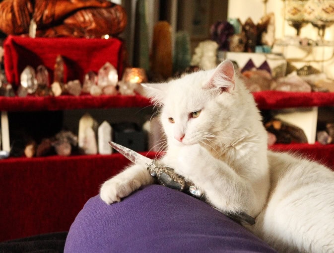 Cosmo with wand